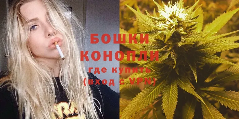 Бошки марихуана SATIVA & INDICA  купить наркоту  блэк спрут как войти  Любань 